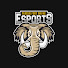0rNnwxHy2AA-channel-avatar-Purdue Fort Wayne Esports