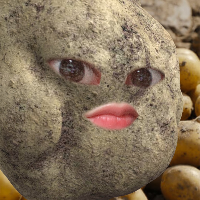 에이핑크정거장