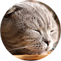 CatQuietASMR logo
