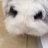 bwIGbOgBJcE-channel-avatar-艳儿的时光放映机