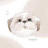 youtube avatar