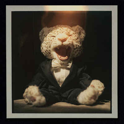 B Ray