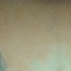 Ayush Josi vlogs