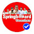 kpJuZcsxWMM-channel-avatar-Springboard Teacher 