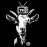 tJAzAfl79Eo-channel-avatar-The GOAT TV - With The Security Czar