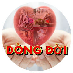 Dòng Đời TV avatar