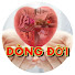 Z1Cw6HfEqOA-channel-avatar-Dòng Đời TV