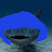 Photo of @Nightmarefuelfish