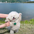 C34cV6_Nyu0-channel-avatar-Whisker Wonders