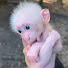 8IV8CqW9M6o-channel-avatar-Mạnh Monkey
