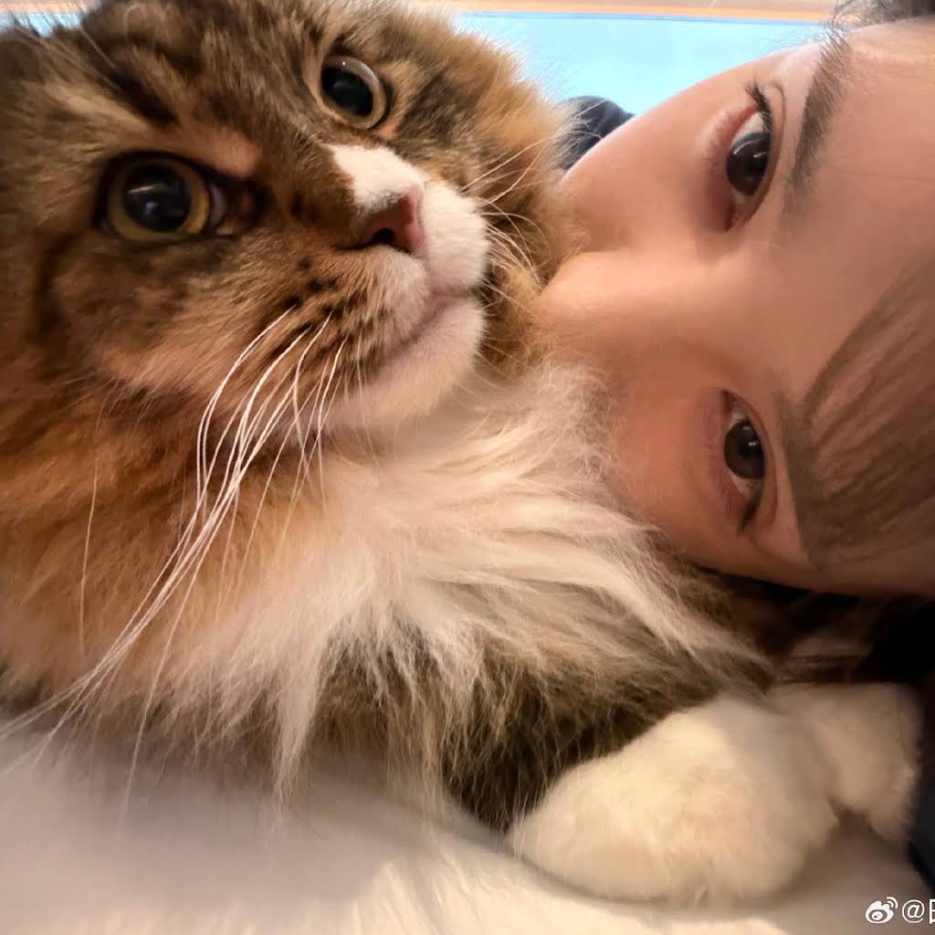 Post from vivian🐾 - YouTube