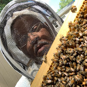 Jimmys Neighborhood Bees