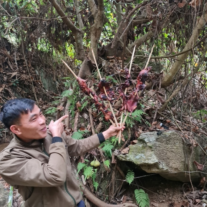 Hoàng Nam miền núi TV