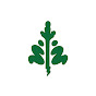 Tree Canada | Arbres Canada logo