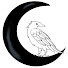 p2zJNL-B6HU-channel-avatar-Midnight Raven Paper Plans and Reads