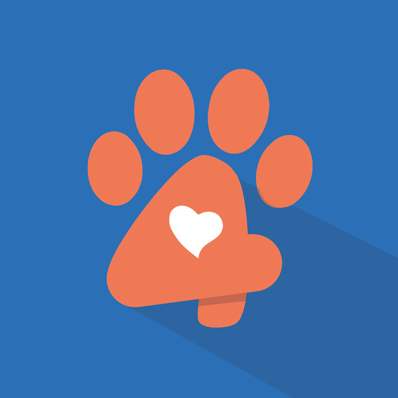 Amore a quattrozampe