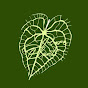RarePlant logo