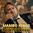 Mambo Kings - Topic