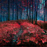 DvchZX3yt1o-channel-avatar-Wieczorne Opowieści GT