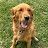 Avatar de @kai-nala