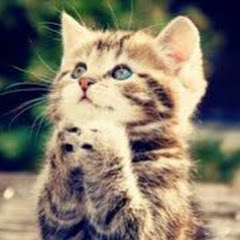 2chドキドキバカ話‼