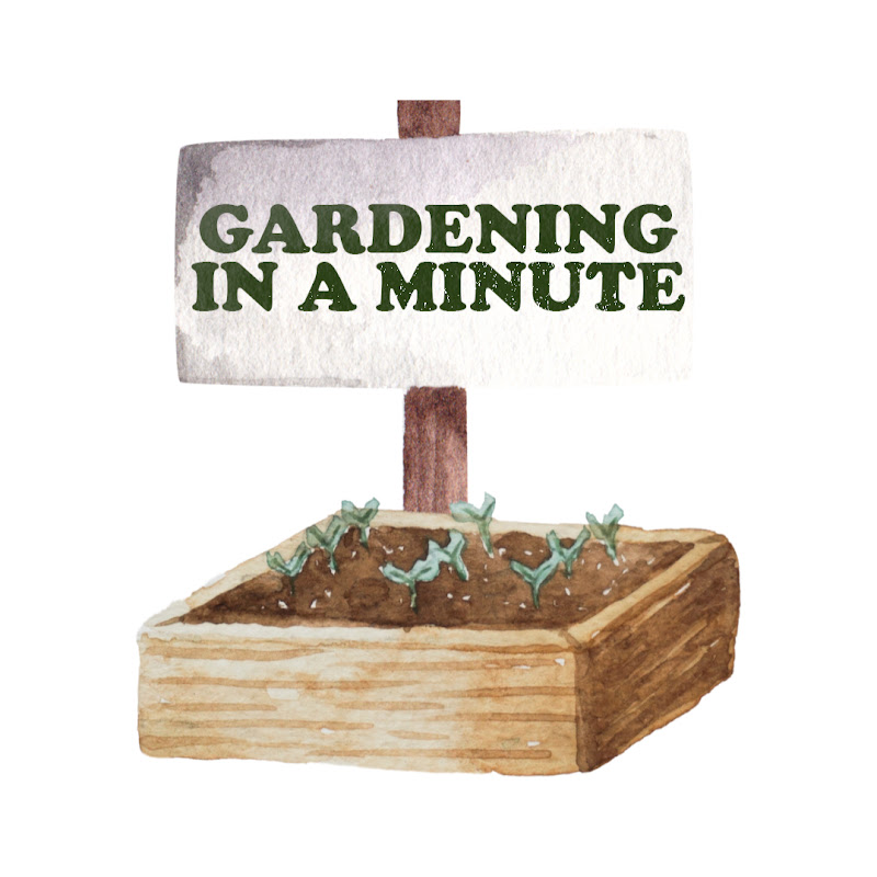 Gardening in a minute