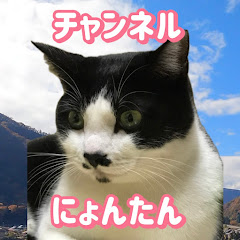 チャンネルにょんたん 群馬観光 グルメ 温泉旅vlogアイコン画像