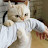 @고냥이-h7s