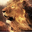 jDSw8y5-OuI-channel-avatar-barricadetaizen