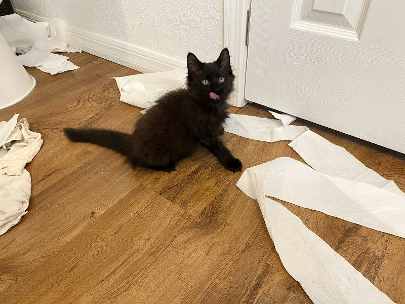 jeXbrbF7c6M116jFJFn0BbZS_1MkqXM5Mnhdn0Ic