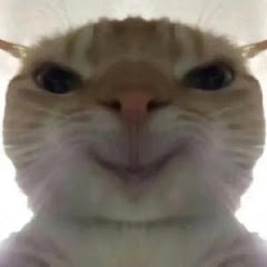 meme猫儿アイコン画像