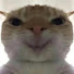 LhbrQtuR0zg-channel-avatar-meme猫儿