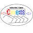 h9YvQM7I2sQ-channel-avatar-CWEM