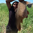DCKSmf9mZGo-channel-avatar-KAFENGYO CHANNEL
