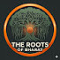 EJopArPkazA-channel-avatar-The Roots Of Bharat