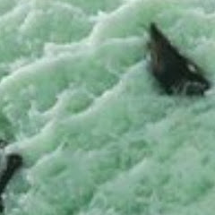 우진이의 게임방송