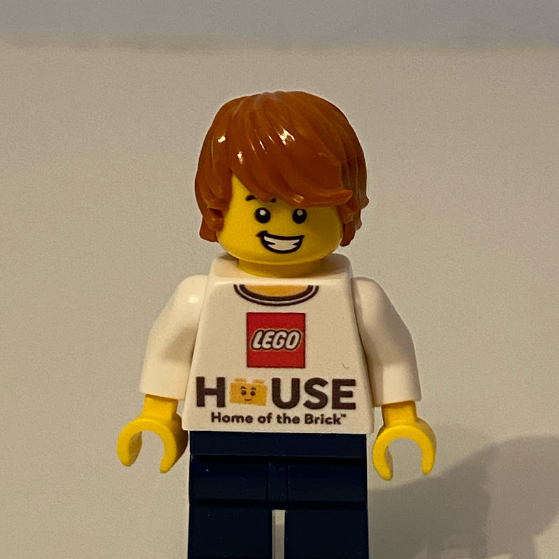 Mr Ted the Lego Guy