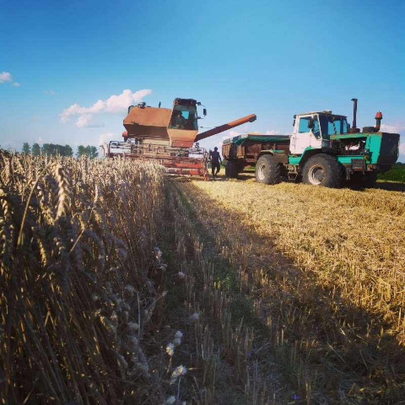 Агро Орендар Logo