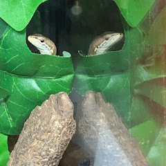 マウンテンバイクマン参上アイコン画像