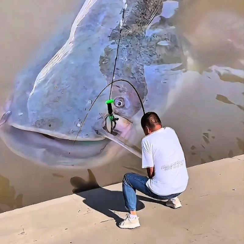 DILUAR NALAR FISHING