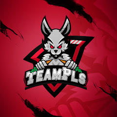 TeamPls Avatar