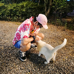 세발맨7080