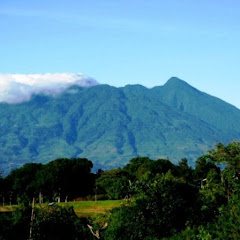 Mein Leben in Indonesien