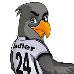Immo Adler, AIMP