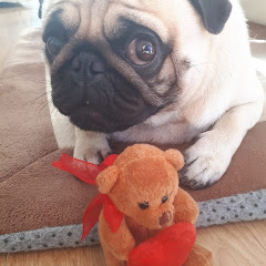 Franky