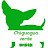 Chiguagua Verde - Gustavo Valente
