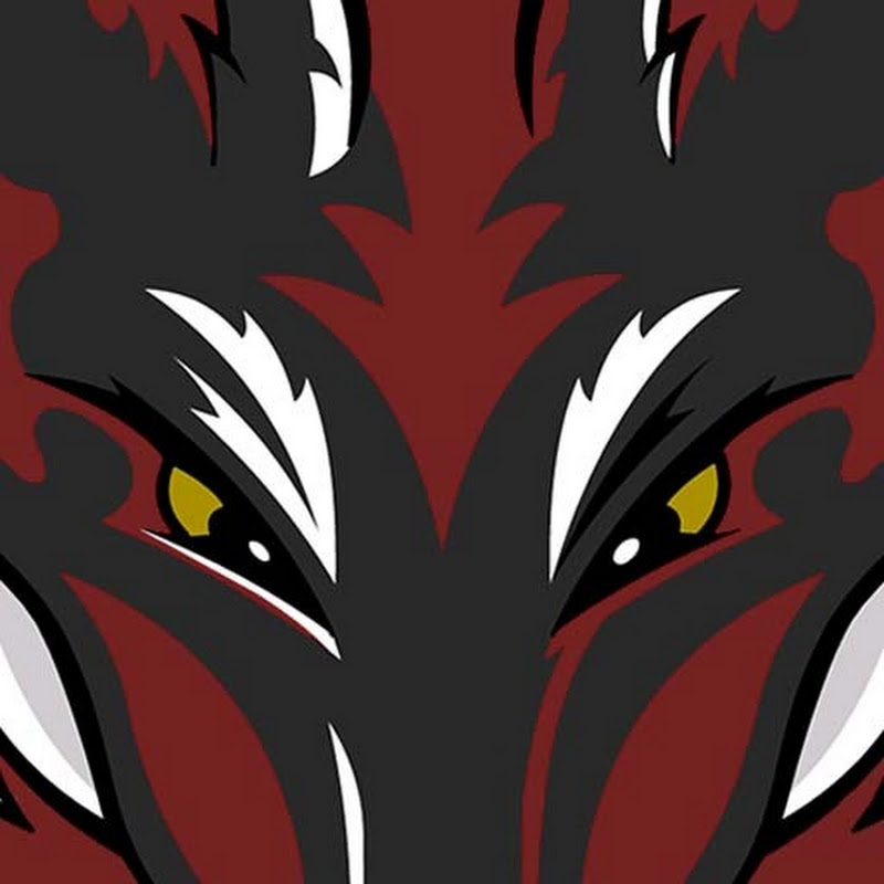 Darkfox127 icon