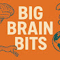Big Brain Bits logo