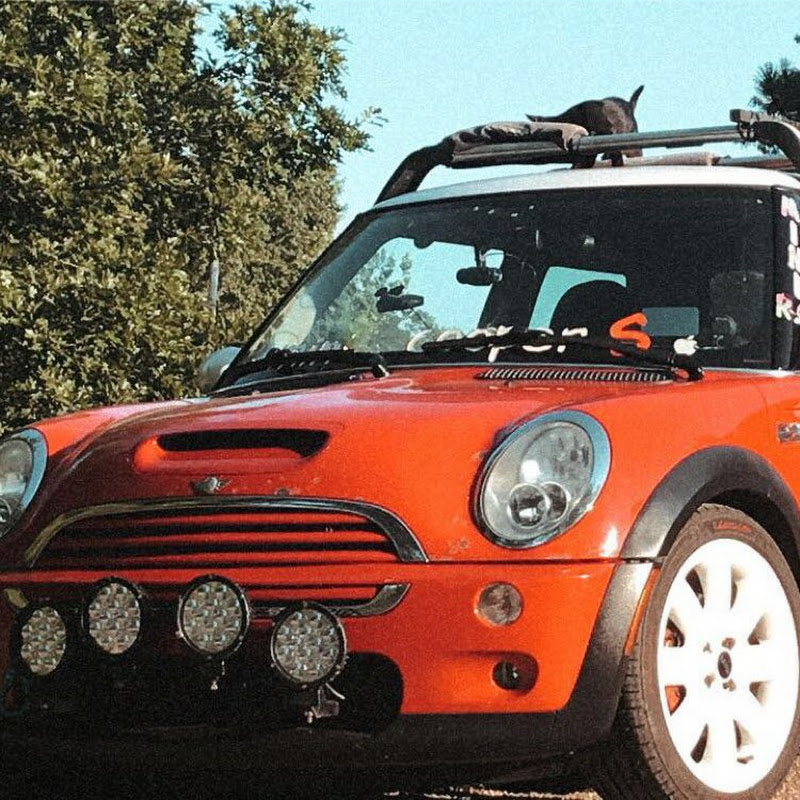 minidonyel