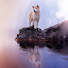 6ml--i8vJuU-channel-avatar-Japanese Akita Inu USA